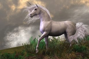 Einhorn