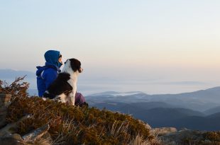 Ein Hund mit seinem Herrchen auf einem Berg