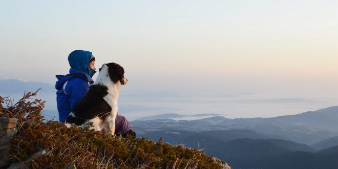 Ein Hund mit seinem Herrchen auf einem Berg