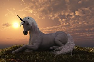 einhorn