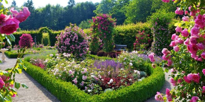 FreizeitTipp Im Garten der Sinne einen wahren Sinnesrausch erleben